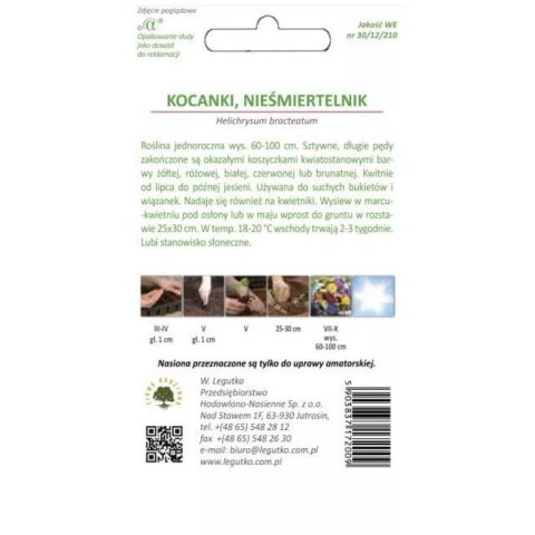 Kocanki wysokie (nieśmiertelnik) - mieszanka kolorów