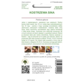 Kostrzewa sina - trawa ozdobna, srebrnoniebieska