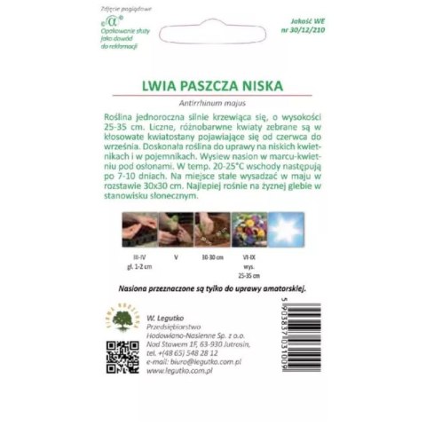 Lwia paszcza niska - mieszanka