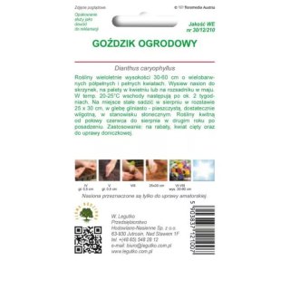 Nasiona goździka ogrodowego mieszanka kolorów