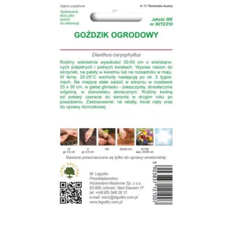 Nasiona goździka ogrodowego mieszanka kolorów