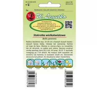 Stokrotka pospolita wielkokwiatowa - mieszanka