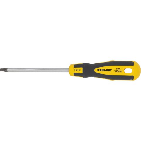 Wkrętak torx z otworem t25*100mm prof. 'soft touch' proline