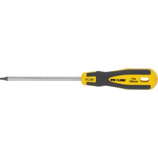 Wkrętak torx z otworem t30*100mm prof.'s-t' proline zawie