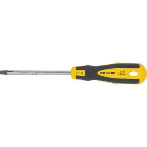 Wkrętak torx z otworem t30*100mm prof. 'soft touch' proline