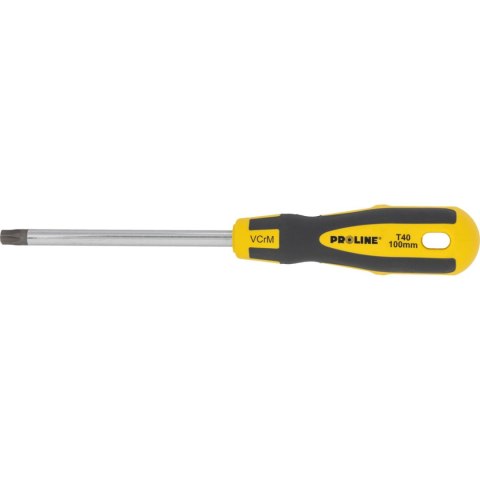 Wkrętak torx z otworem t40*100mm prof. 'soft touch' proline