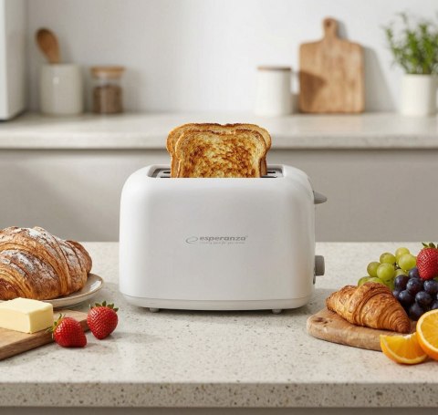 EKT002 Esperanza toster ciabatta