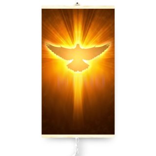Grzejnik na podczerwień - giętki panel grzewczy 430W TRIO wzór 12 gołąb, wymiary 100x57cm z regulatorem