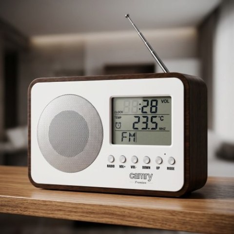 CR 1153 Radio cyfrowe lcd