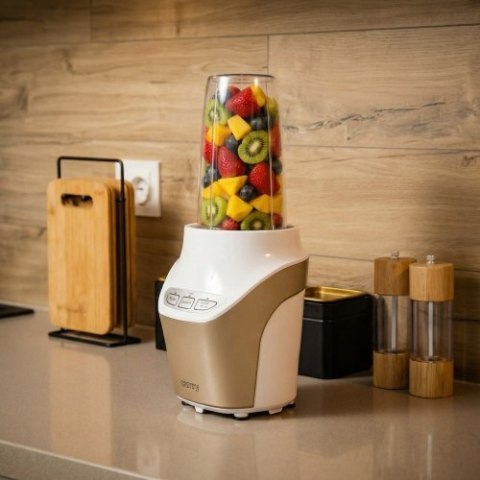 CR 4071 Blender personalny - powerful nutri