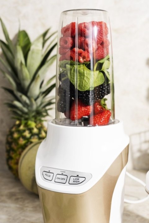 CR 4071 Blender personalny - powerful nutri