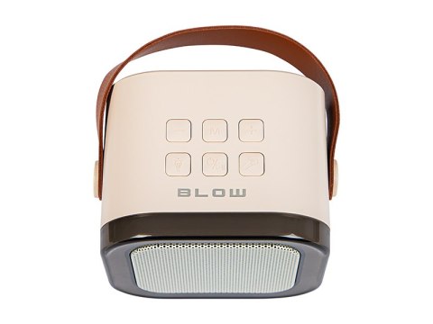 30-358# Głośnik bluetooth karaoke rgb 2 mikrofony`