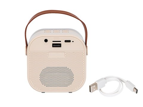 30-359# Głośnik bluetooth karaoke rgb 1 mikrofon`