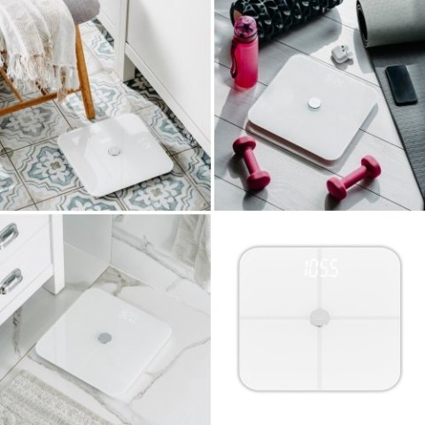 AD 8187 White Waga łazienkowa analityczna smart - aplikacja fitgo