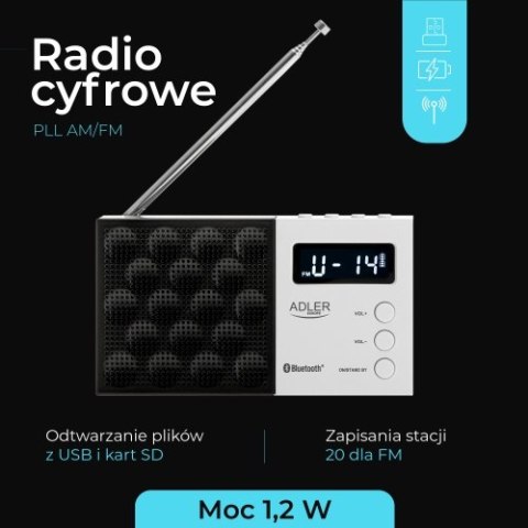 AD 1908 Radio cyfrowe pll fm