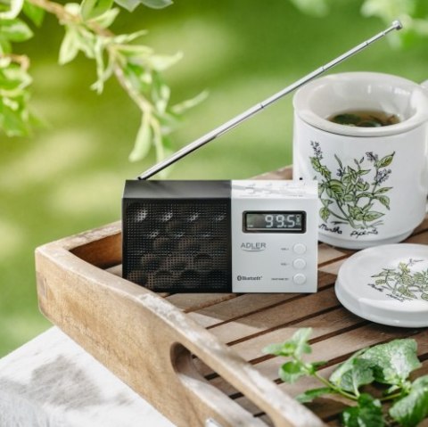 AD 1908 Radio cyfrowe pll fm