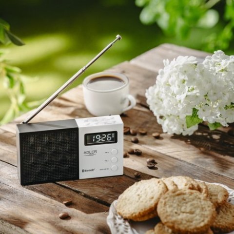 AD 1908 Radio cyfrowe pll fm