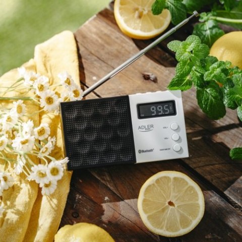 AD 1908 Radio cyfrowe pll fm