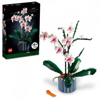Klocki botanicals 10311 orchidea