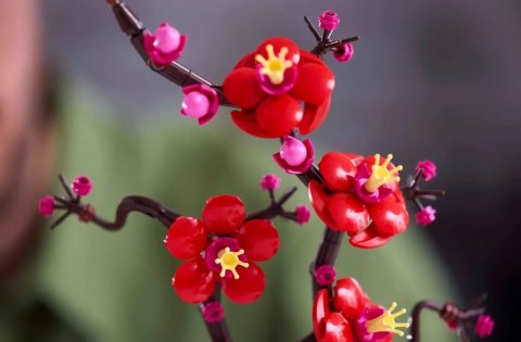 Klocki botanicals 10369 kwiat śliwy