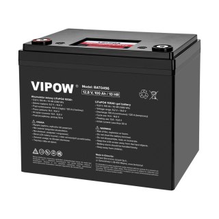 Akumulator LiFePO4 100Ah z BMS