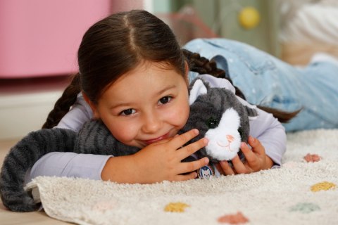 Maskotka interaktywna baby born mój kot cookie z pudełkiem