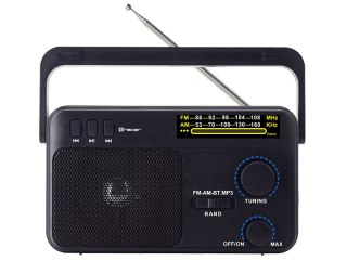 Radio FM TRACER GTX100