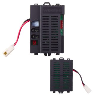 Centralka Moduł RX101 24V