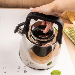 Czajnik tradycyjny 2,5l srebrny klausberg