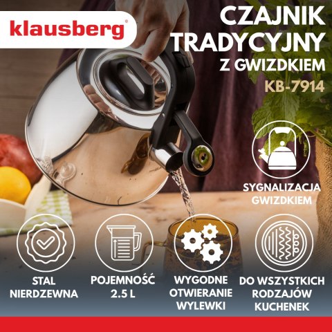 Czajnik tradycyjny 2,5l srebrny klausberg