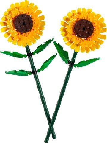 Klocki botanicals 40524 słoneczniki
