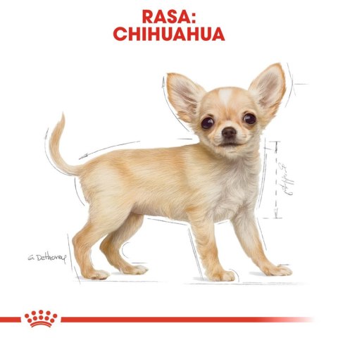 ROYAL CANIN Chihuahua Puppy 1,5kg