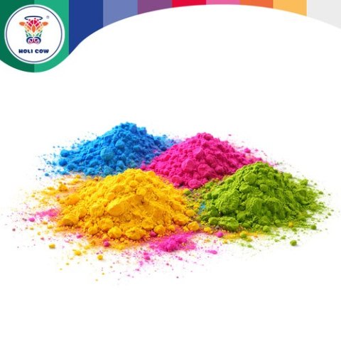 Kolorowy proszek Holi zestaw10x100g Holi Cow 27334