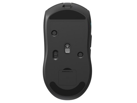 Mysz TRACER GAMEZONE NIPPY RF (2.4G+BT) RF