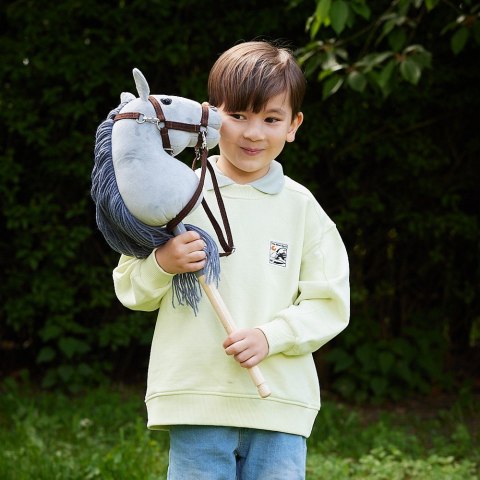 Koń na kiju hobby horse hoppihorse a4 szary, maść siwa