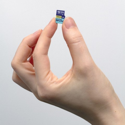 Karta pamięci microSD 256 GB V30 UHS-III Goodram Rival z adapterem