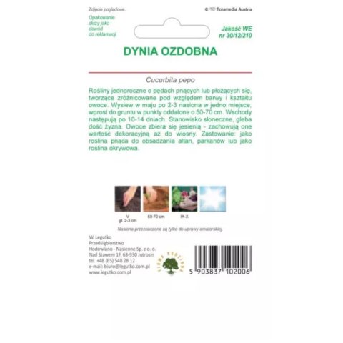 Dynia ozdobna, mieszanka odmian