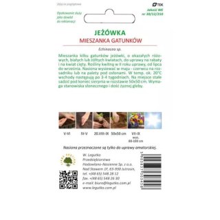 Jeżówka - mieszanka gatunków