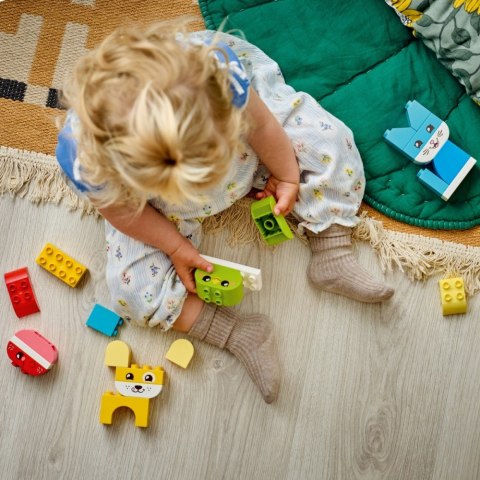 Klocki duplo 10477 kreatywne zwierzaki 3 w 1