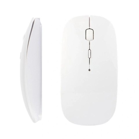 AK278D Mysz optyczna slim bezprz. biała
