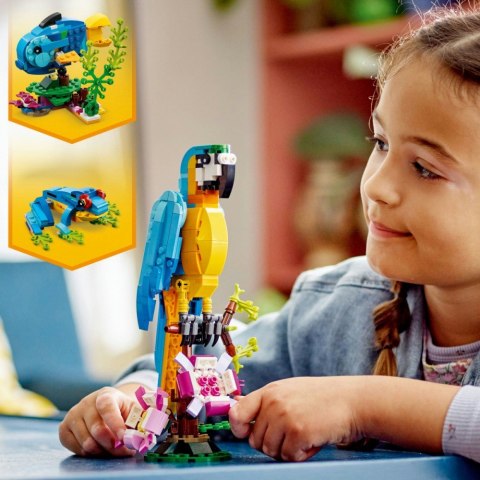 Klocki creator 31136 egzotyczna papuga