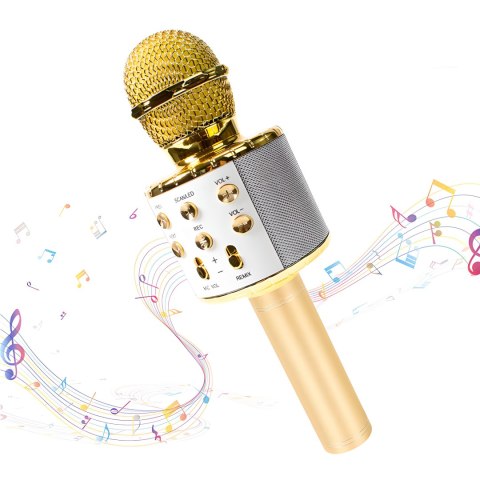 Mikrofon karaoke bezprzewodowy bluetooth głośnik 2 złoty e114
