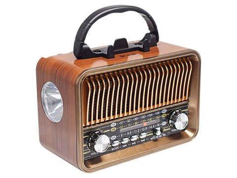 Radio FM TRACER RTX200