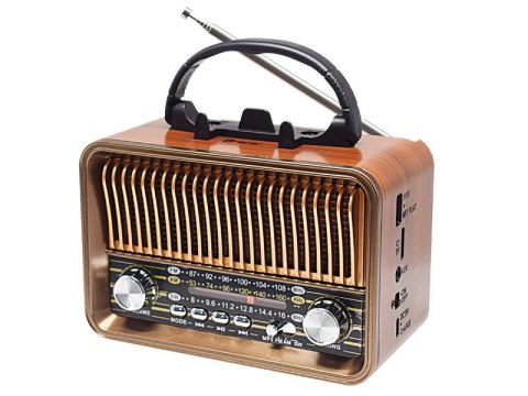 Radio FM TRACER RTX200