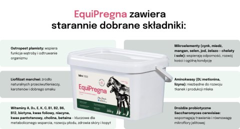 Lab-v EquiPregna Mieszanka paszowa uzupełniająca dla klaczy ciężarnych i karmiących, wspierająca przebieg ciąży, rozwój płodu or