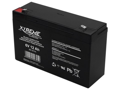 82-201# Akumulator żelowy 6v 12ah xtreme 151x94x50_4,8"