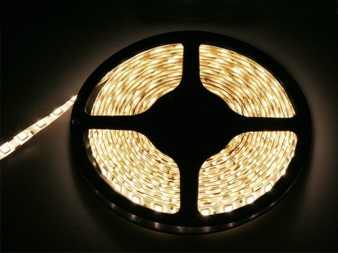 70-981# Taśma led biały zimny 5050 5m/300wodoodporna