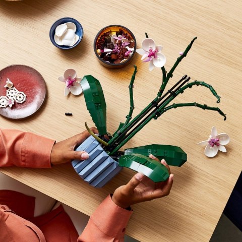 Klocki botanicals 10311 orchidea