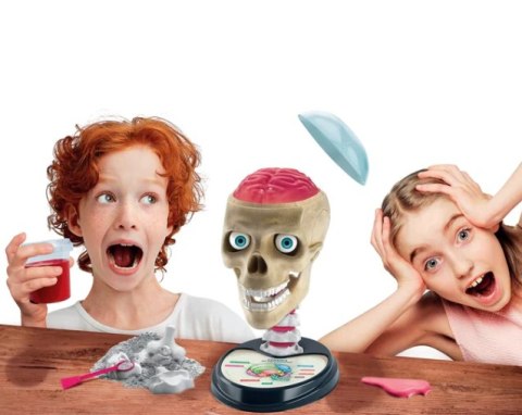 Naukowa Zabawa Zestaw Zwariowana Anatomia Język Polski Clementoni 50697