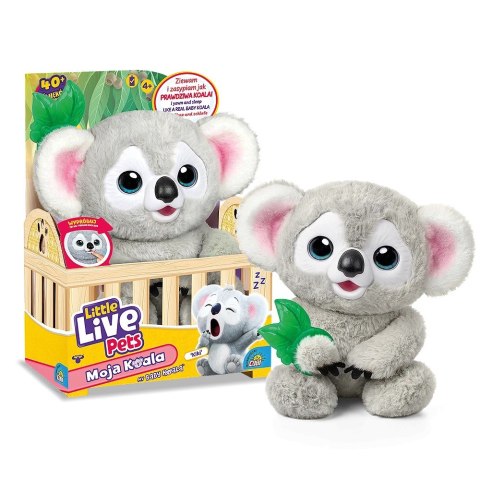 Maskotka interaktywna little live pets - moja koala